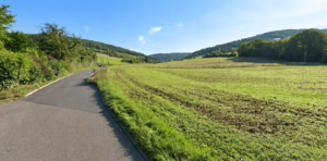 big_Blick20ins20Grune