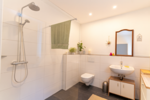 big_Wohnung20EG20Duschbad